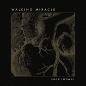 Walking Miracle (feat. Mike Donehey) artwork