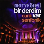 Bir Derdim Var (Canlı Senfonik) artwork