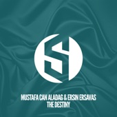 The Destiny (Radio Mix) artwork