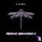 Bromo Dragonfly - Dj Manifesto lyrics