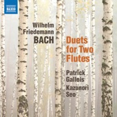 W.F. Bach: 6 Duets for 2 Flutes artwork
