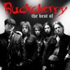 The Best of Buckcherry artwork