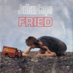 Julian Cope - Sunspots