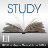 Joshua Bell - Debussy: Sonata in G Minor for Violin & Piano, L. 140 - 1. Allegro vivo