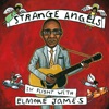 Strange Angels: In Flight with Elmore James