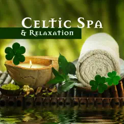 Celtic Spa & Relaxation: Best Classic Irish Harp & Flute, Relax & Have Stress Free St. Patrick’s Day by Various Artists album reviews, ratings, credits