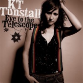 Eye to the Telescope artwork