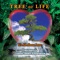 Tree of Life Prayer - Francesco Lupica lyrics