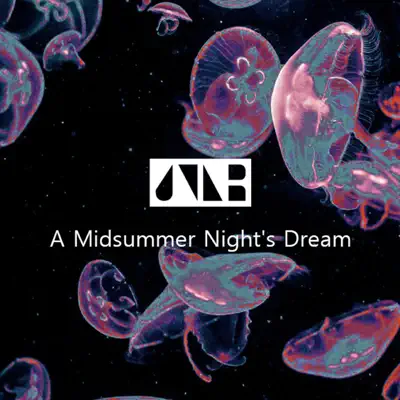 A Midsummer Night's Dream - Single - Roh