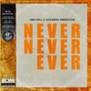 Never Never Ever - Single