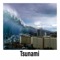 Tsunami (feat. Gaige, MrBreezy & Kwon Brodi) - demery. lyrics