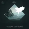 Voz (MarVixx Remix) - Single album lyrics, reviews, download