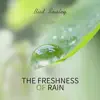 The Freshness of Rain album lyrics, reviews, download
