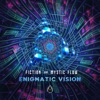 Enigmatic Vision - Single