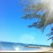 Island Girl (feat. Rob Ray) - Remy lyrics