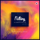 Nothing Compares artwork