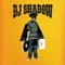 What Have I Done (Featuring Christina Carter) - DJ Shadow featuring Christina Carter lyrics