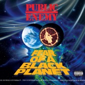 Burn Hollywood Burn (feat. Ice Cube & Big Daddy Kane) artwork