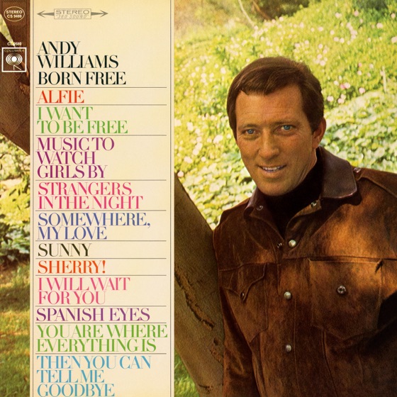 Cover artwork for Strangers In the Night