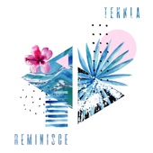 Reminisce artwork