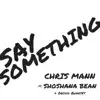 Stream & download Say Something (feat. Shoshana Bean & Orchid Quartet) - Single