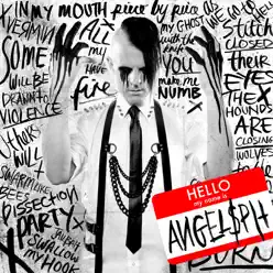 Hello My Name Is - Angelspit