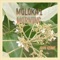 Molokai Morning - John Keawe lyrics