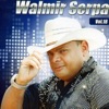 Walmir Serpa