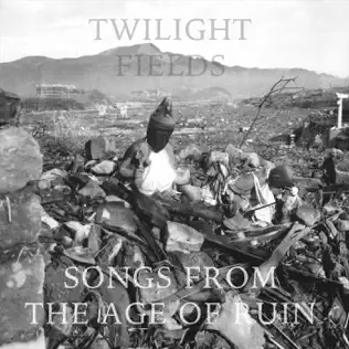 descargar álbum Twilight Fields - Songs From The Age Of Ruin