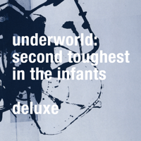 Underworld - Pearl’s Girl (Remastered) artwork