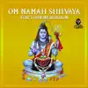 Om Namah Shiivaya For Your Meditation album lyrics, reviews, download