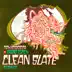 Clean Slate (feat. Gavin Turek) [VIMES Remix] song reviews