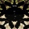 1 Sacco Di Salsa (feat. Ame 2.0) - King Mikz lyrics