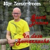 In Deze Zomernacht - Single