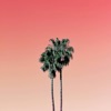 Throwaway - Single