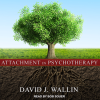 David J. Wallin - Attachment in Psychotherapy artwork