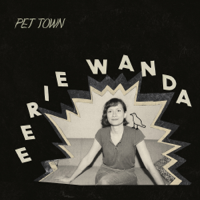 Eerie Wanda - Pet Town artwork