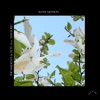 Slow Motion (feat. Sam Sure) - Single