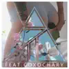 Name on It (feat. Coxochary) - Single album lyrics, reviews, download