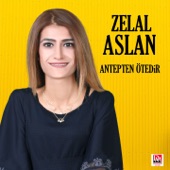 Sana Olan Sevdamdandır Bilesin artwork