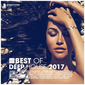 Best of Deep House 2017 by Various Artists album reviews, ratings, credits