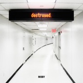 Destroyed (Deluxe Edition) artwork