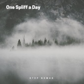 One Spliff a Day artwork
