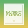 Caindo no Forró (Ao Vivo), 2016