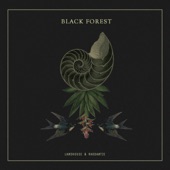Black Forest - Random Collective Records artwork