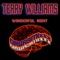 Wonderful Night - Terry Williams lyrics