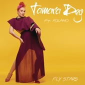 Fly Stars (feat. Polamo) artwork