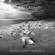 Strong Hands - Ben Catley