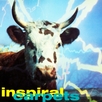 Inspiral Carpets - Commercial Reign (Rub-A-Dub Mix) artwork