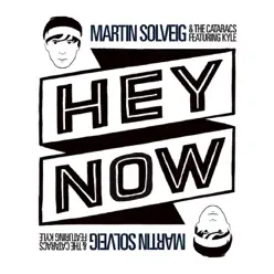 Hey Now (feat. KYLE) [Remixes]  - EP - Martin Solveig